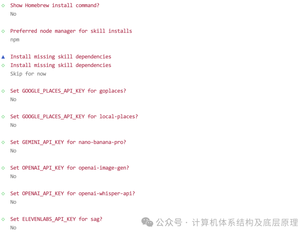 命令行中跳过其他技能和API密钥配置