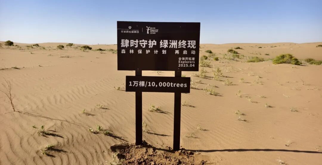 游戏参与的公益项目实景