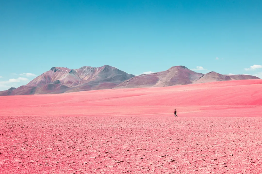 广袤粉红色荒漠中的孤独行者