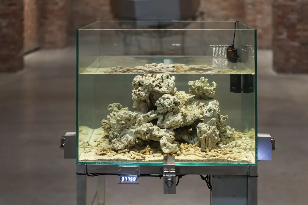 王郁洋装置作品《崩塌》：玻璃水族箱