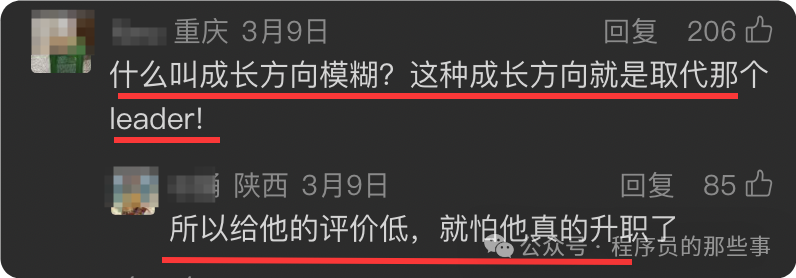 网友评论截图，内容犀利指出“成长方向模糊”的评价可能是怕员工取代Leader，以及压低评价是为了防止其升职