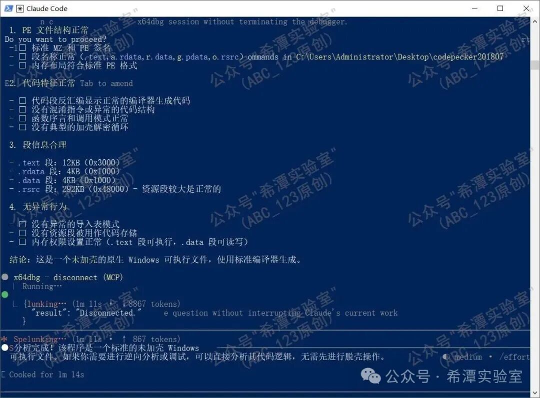 PE文件结构分析报告