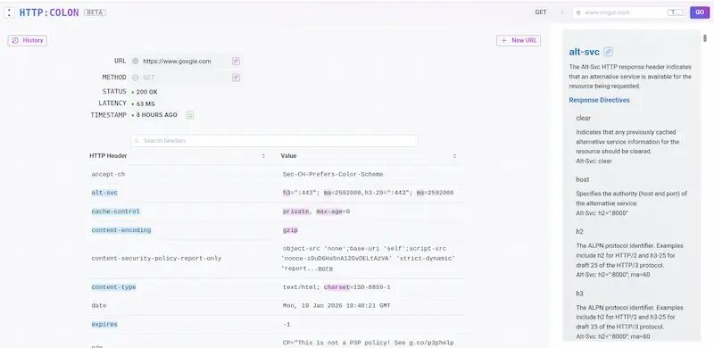HTTP:COLON网页请求头分析工具界面
