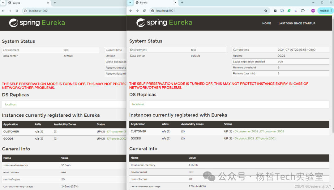 两个Eureka Server节点页面，均显示完整的CUSTOMER和GOODS服务实例