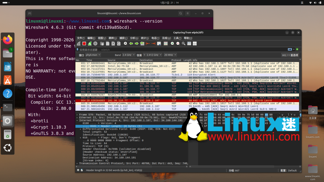 Wireshark 4.6.3捕获数据包详情界面