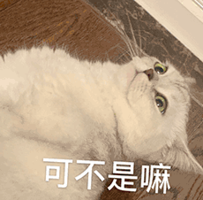 仰面躺着的白猫表情包,配文“可不是嘛”
