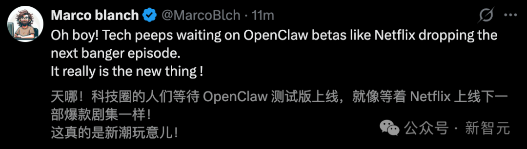社交媒体推文截图：将等待测试版比作等待Netflix新剧