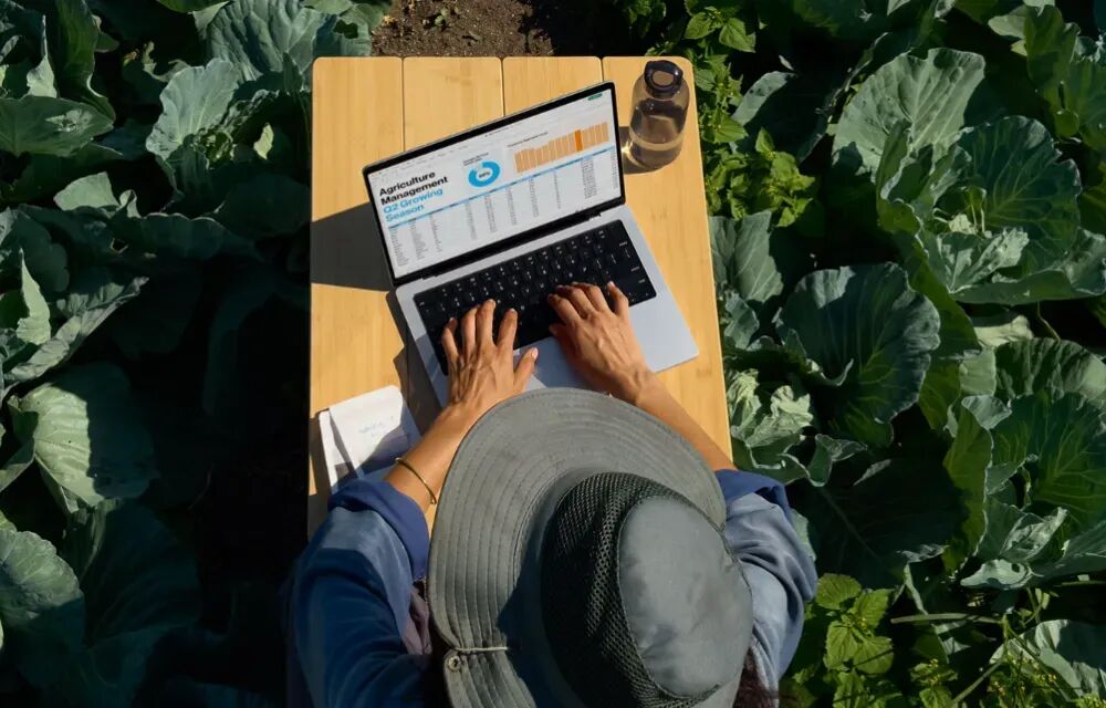 户外使用笔记本电脑的场景