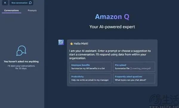 Amazon Q AI助手界面