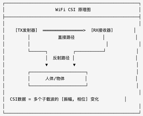 WiFi CSI原理示意图：信号传播路径与数据构成