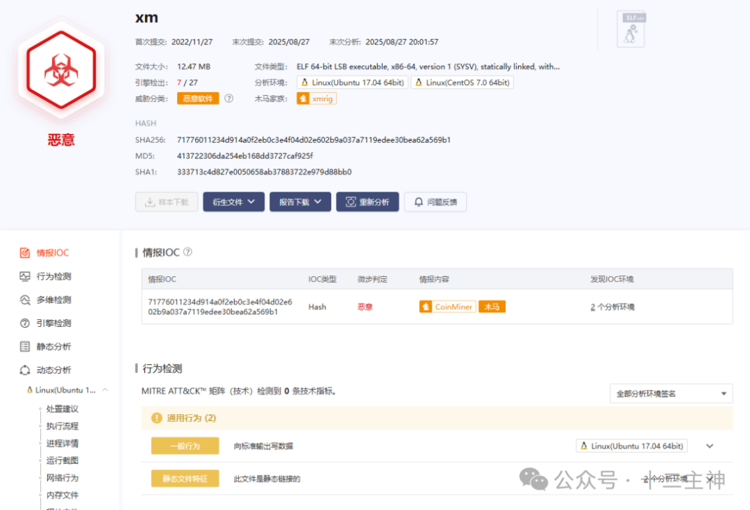 xmrig程序的沙箱分析报告