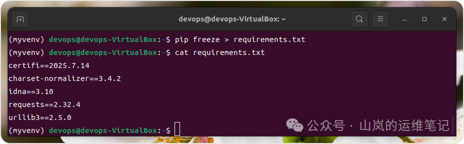 使用pip freeze命令生成requirements.txt文件