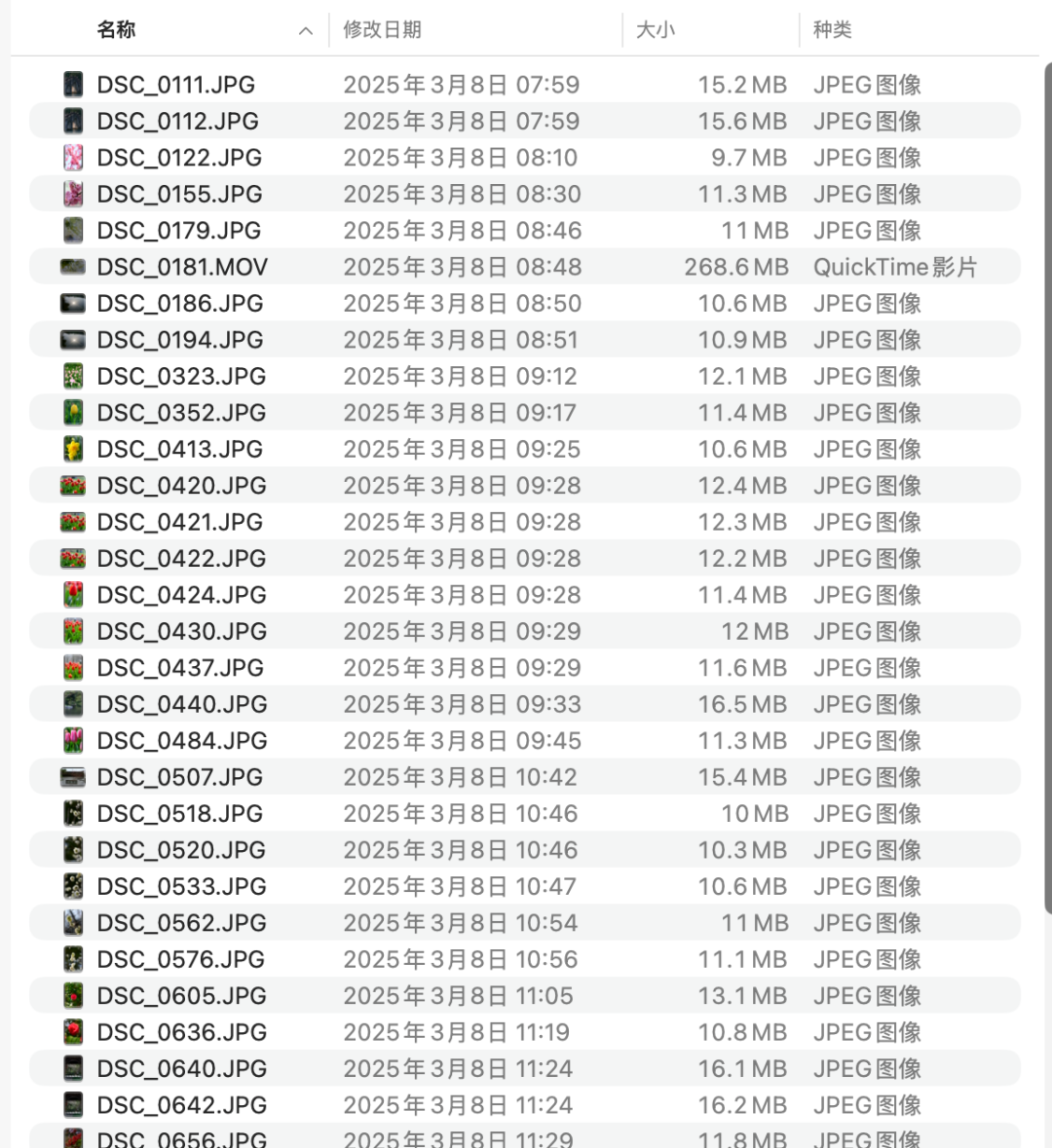 大量相似的照片文件列表