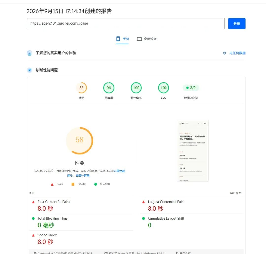 PageSpeed 性能诊断报告截图