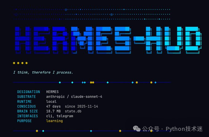 Hermes HUD 系统概览界面，显示 AGENT 名称、模型、运行环境、意识持续时间、数据库大小以及接口信息