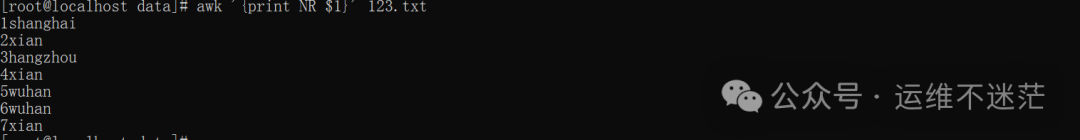 终端显示带行号的内容