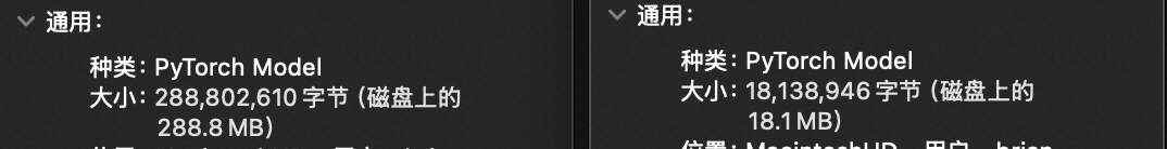 模型文件大小对比：288.8MB vs 18.1MB