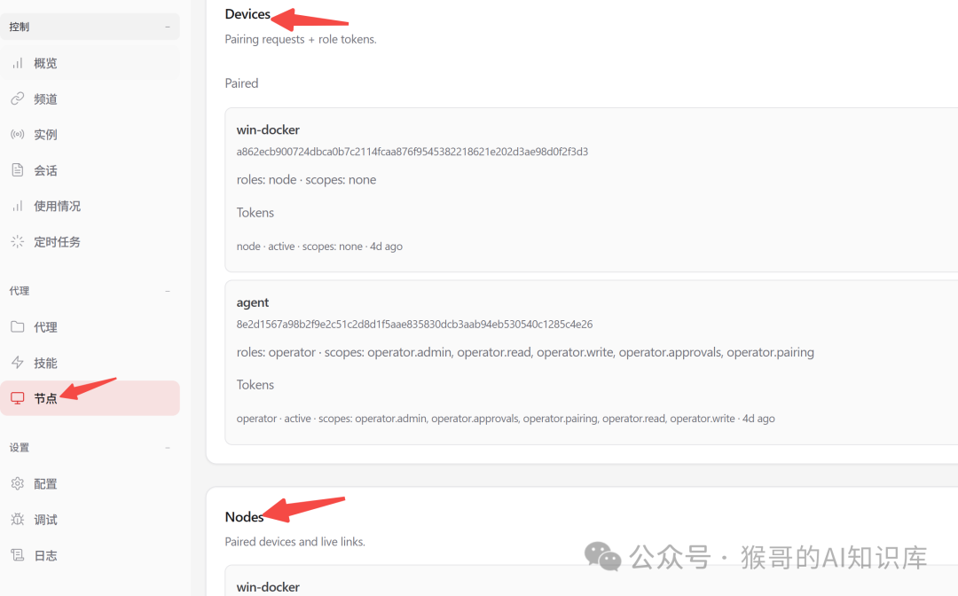 OpenClaw控制台节点与设备管理界面