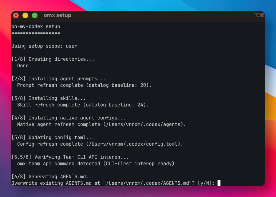 oh-my-codex 安装初始化过程的终端截图