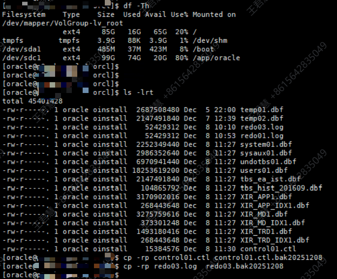 Linux终端查看文件系统和文件列表