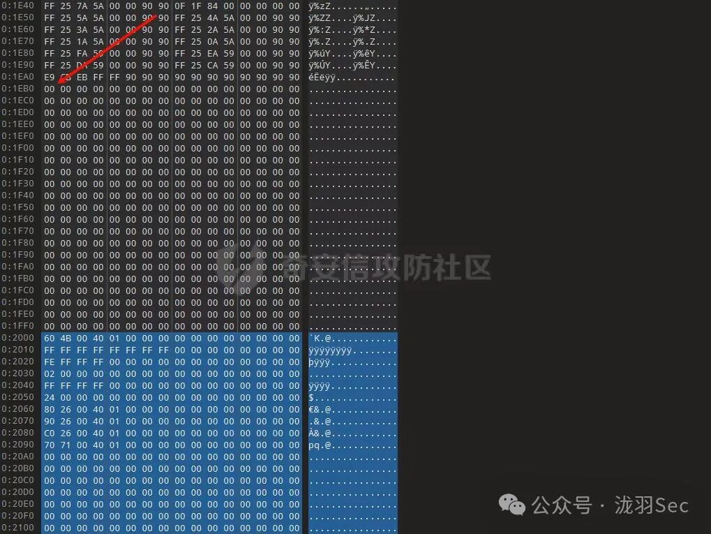 010 Editor中代码洞区域的十六进制视图