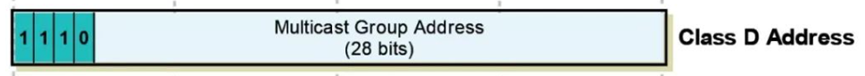D类多播IP地址结构