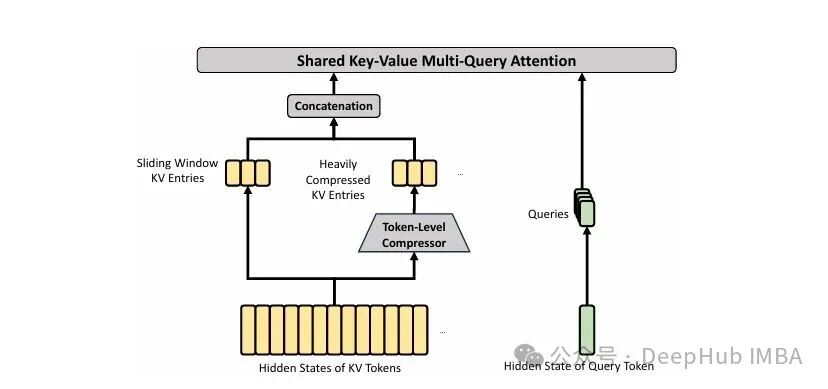 共享键值多查询注意力架构图，展示从隐状态经令牌级压缩器处理后与滑动窗口KV条目拼接的流程