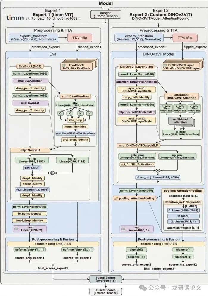 Ant International团队的双专家模型架构