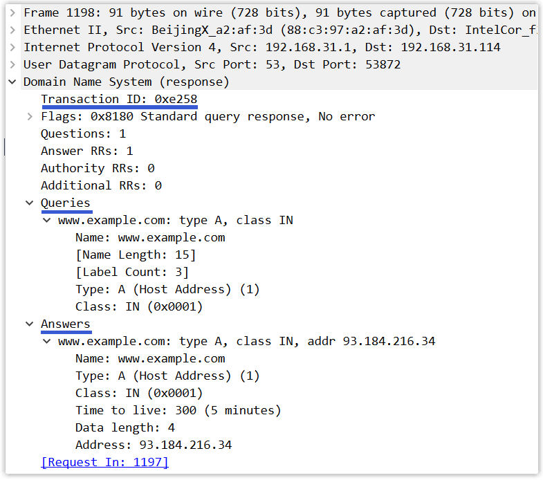 DNS响应报文Wireshark抓包详情