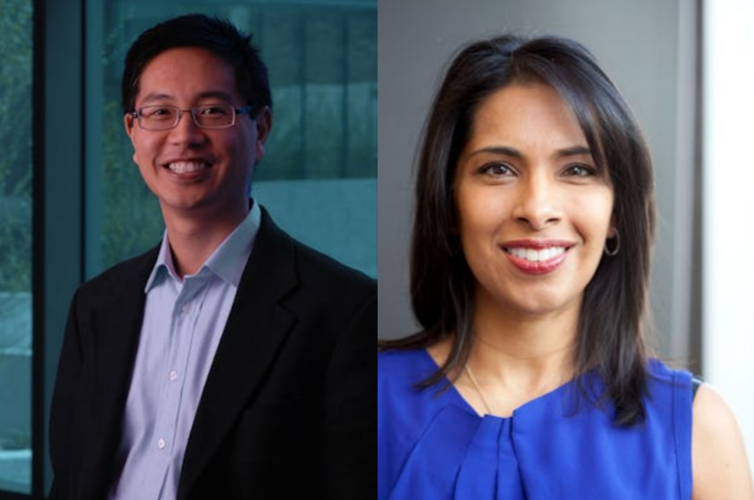 克里斯托弗·陈和桑吉塔·巴蒂亚教授照片