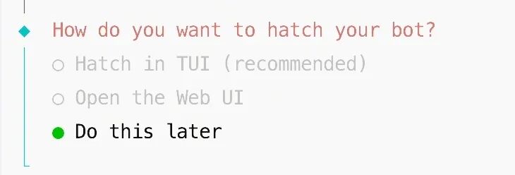 选择如何启动机器人，选择稍后操作