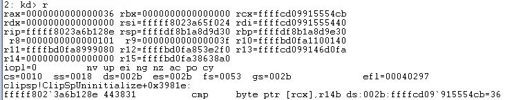 Windbg寄存器状态与rcx指向的内存数据