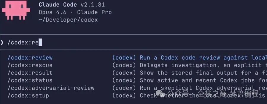Claude Code终端中运行Codex插件命令的界面截图