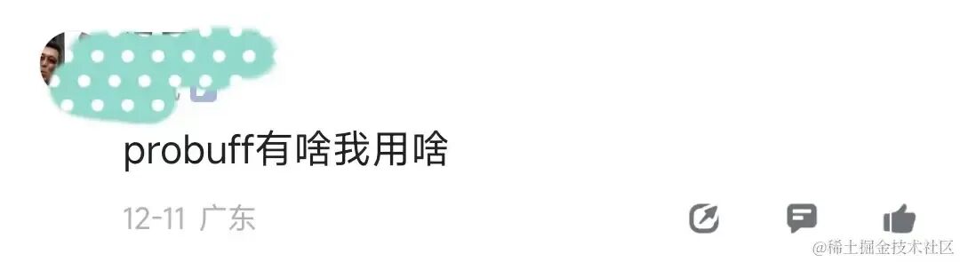 支持Protobuf方案的网友评论截图