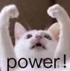 power猫咪表情包
