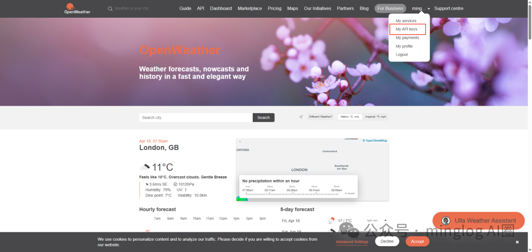 OpenWeather用户菜单，高亮显示‘My API keys’选项