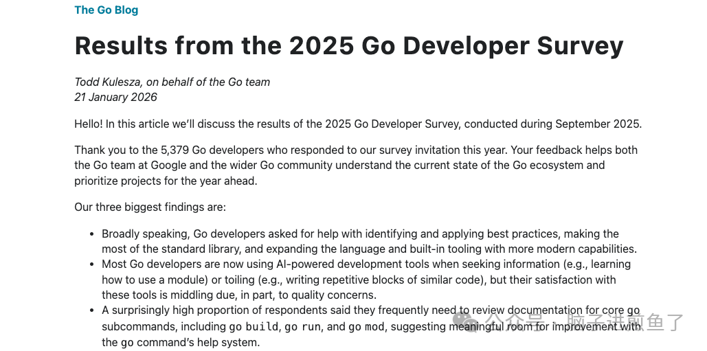 Go Blog 2025年调查报告文章截图