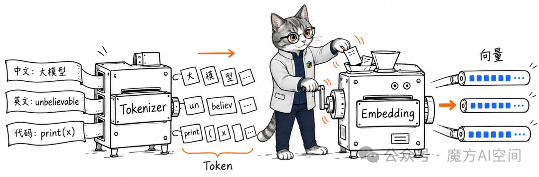 Token与Embedding输入流程