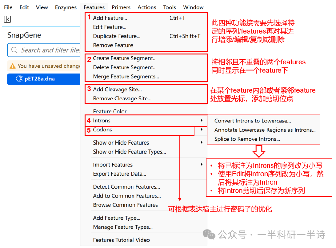SnapGene Features功能菜单界面