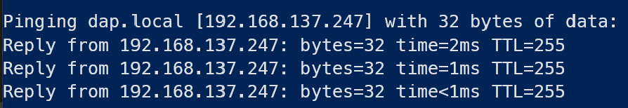 终端 Ping 测试 dap.local 主机名结果