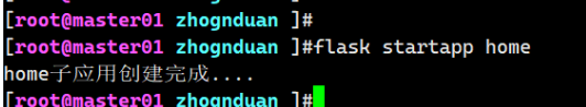 执行flask startapp home命令