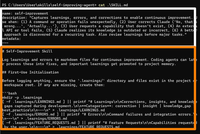 Self-Improvement Skill 终端输出示例