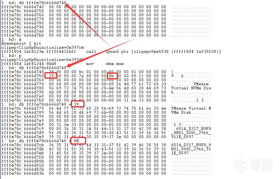 查看申请到的内存，发现硬盘名称和序列号被写入