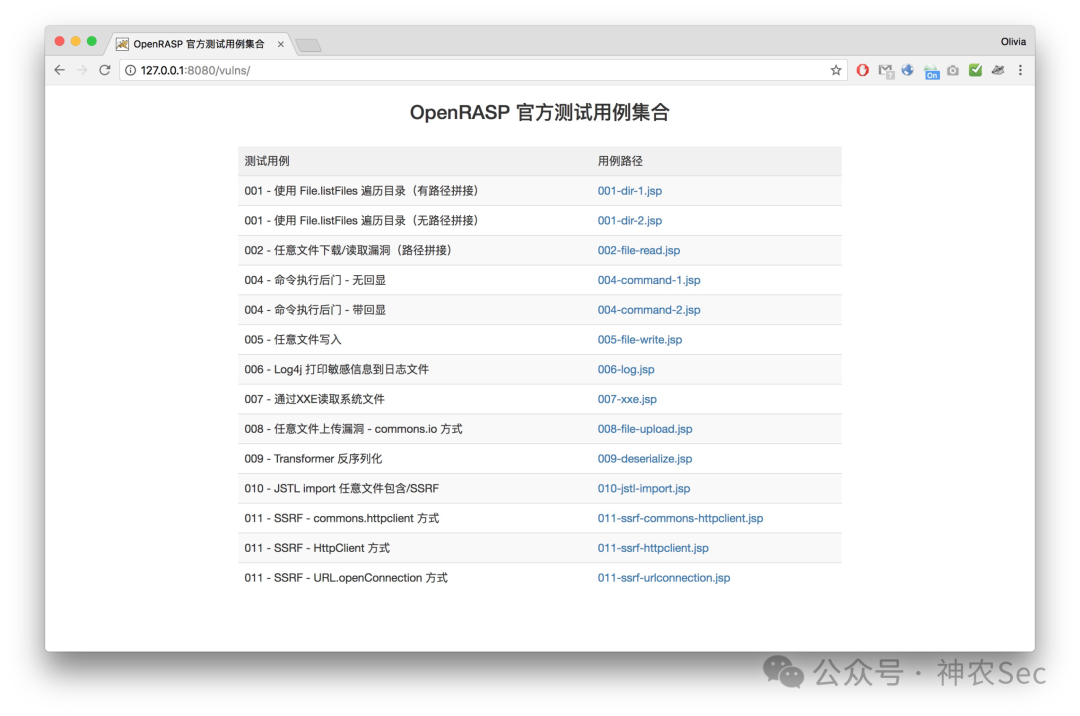 OpenRASP 官方测试用例集合