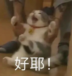 好耶表情包