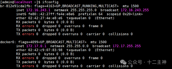 Docker与自定义网桥配置