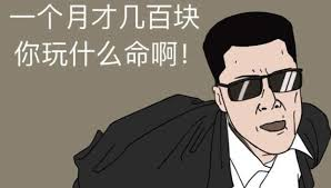 表情包：一个月才几百块你玩什么命啊！