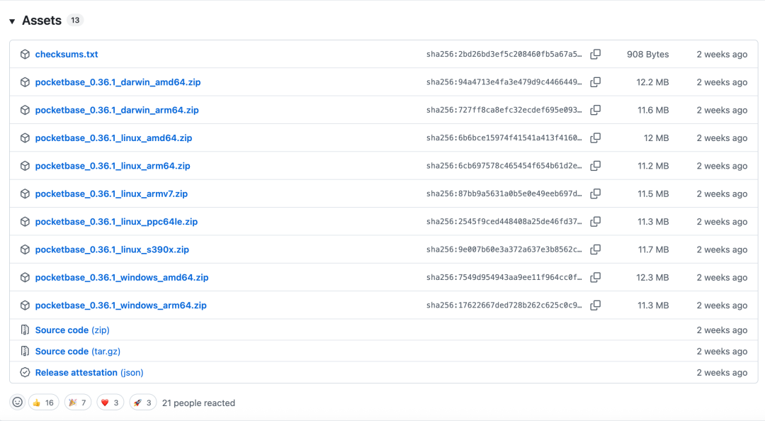PocketBase GitHub Release 页面提供的各平台可执行文件
