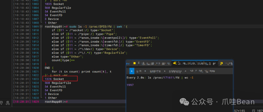 进程 FD 占用分类统计结果