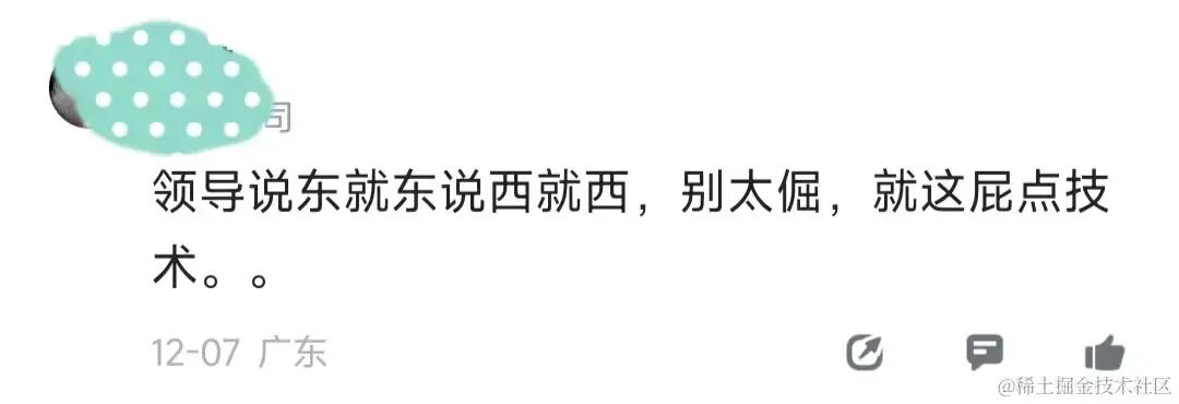 支持听领导方案的网友评论截图